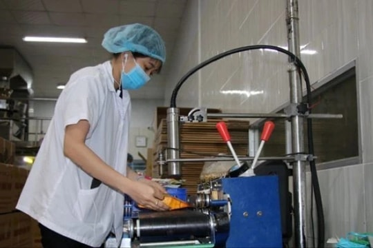 Khuyến công Đồng Tháp: Ưu tiên phát triển các ngành nghề, sản phẩm chế biến sâu