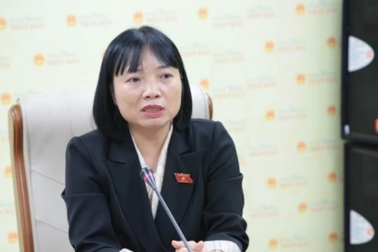 Khâu thu gom và xử lý rất hạn chế, ảnh hưởng đến môi trường