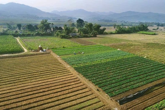 Hợp tác xã mong chờ hướng dẫn thụ hưởng chính sách