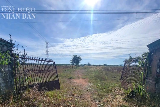 Dự án trại thực nghiệm ở Bình Thuận của Trường ĐH Mở TP. Hồ Chí Minh dùng tiền Trường mua đất để cá nhân đứng tên hiện ra sao?