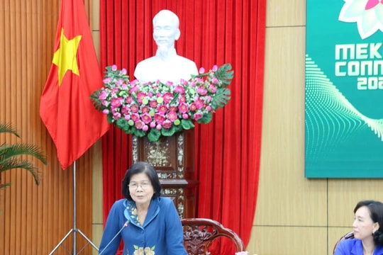 Nhiều doanh nghiệp khởi nghiệp quốc tế đến dự Mekong Connect 2024