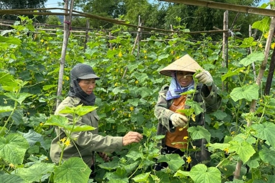 Kinh nghiệm giảm nghèo của xã Bình Long, huyện Võ Nhai, tỉnh Thái Nguyên
