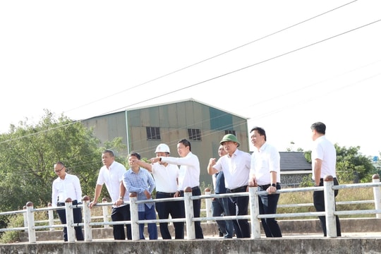 Tập trung đẩy nhanh các dự án điện 110kV trên địa bàn Thái Bình và Hưng Yên