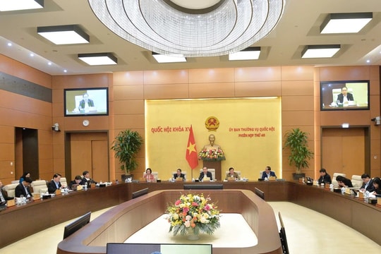 Xem xét, bổ sung một số dự án luật, nghị quyết vào Chương trình xây dựng luật, pháp lệnh năm 2025 