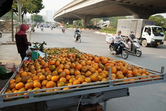 Hà Nội tăng cường kiểm soát hoạt động kinh doanh trái cây