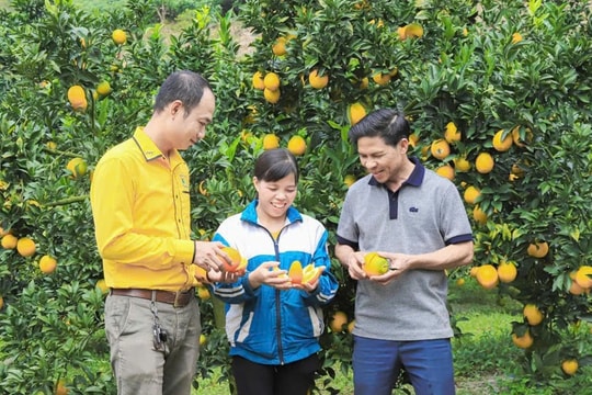 Khi người dân có vai trò giám sát hoạt động tín dụng