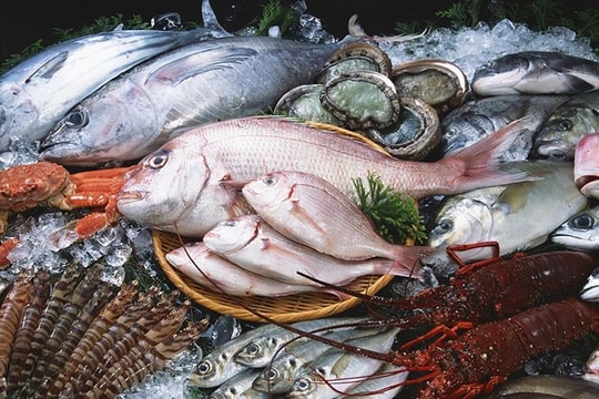 Xuất khẩu thủy sản duy trì đà tăng trưởng và đối mặt thách thức mới