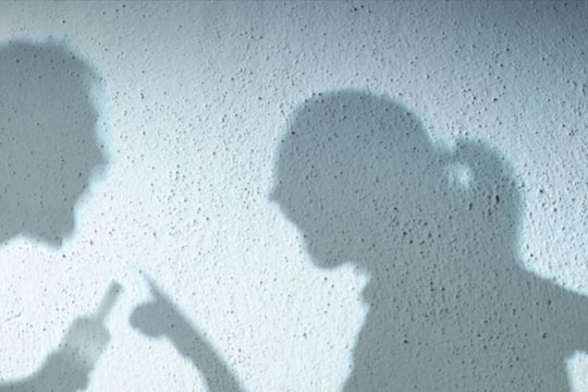 Quảng Bình: 2 người trong gia đình bị phạt tiền vì xúc phạm lẫn nhau 