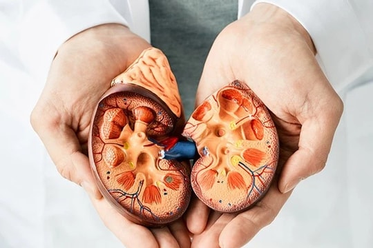 Điểm danh những thói quen xấu dẫn tới bệnh suy thận: Biết nhưng vẫn chủ quan 