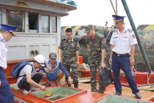Bộ Tư lệnh Vùng Cảnh sát biển 3 liên tiếp bắt giữ tàu chở dầu DO không rõ nguồn gốc
