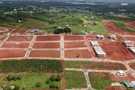 Xử lý nghiêm trường hợp vi phạm quy định pháp luật trong đấu giá quyền sử dụng đất