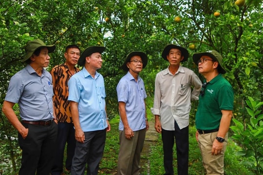 Hợp tác công - tư thúc đẩy thực hành nông nghiệp tốt