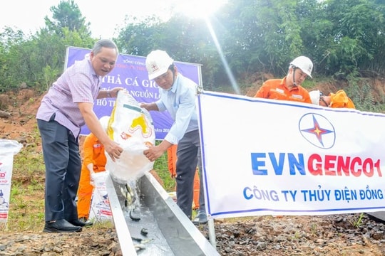 Bổ sung nguồn lợi thủy sản lòng hồ Thủy điện Đồng Nai 3 và 4