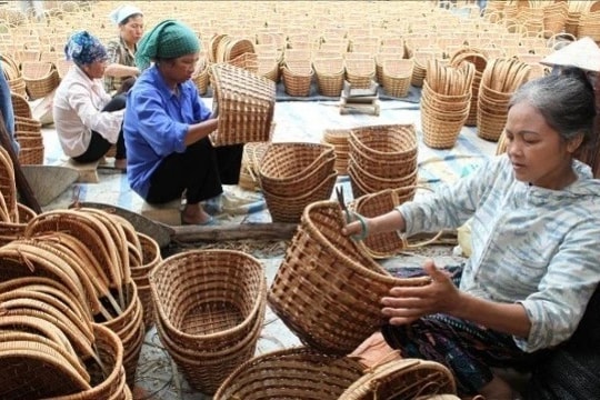 Để sản phẩm OCOP trở thành thương hiệu mạnh