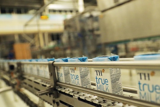 Quy trình vắt sữa kín hoàn hảo của TH true MILK