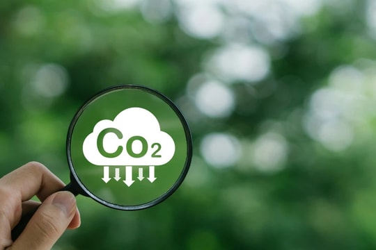 Hoàn thiện cơ chế, chính sách, biến tiềm năng carbon rừng thành hàng hóa