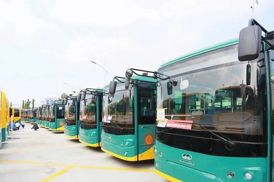 TP. Hồ Chí Minh: 150 xe buýt điện kết nối với Metro số 1 Bến Thành - Suối Tiên