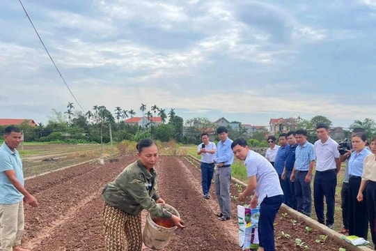 Cung cấp giống, vật tư cho nông dân bị thiệt hại do bão số 3