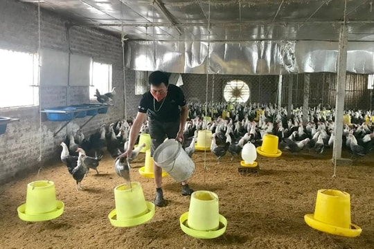 Phát huy vai trò quan trọng của Quỹ Khuyến nông