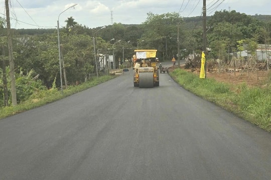 Công ty Cổ phần Xây dựng Nam Việt JSC gian lận hồ sơ đấu thầu