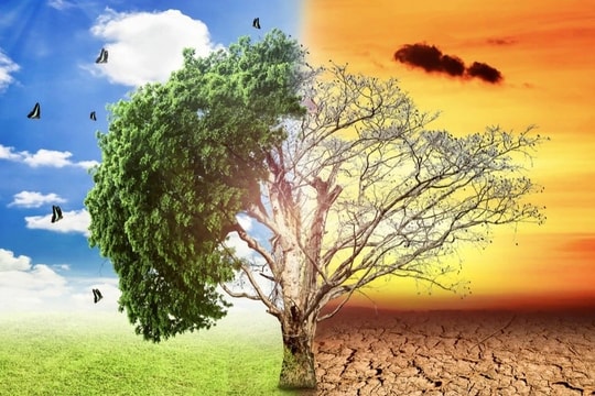 Kế hoạch quốc gia thích ứng với biến đổi khí hậu giai đoạn 2021 - 2030, tầm nhìn đến năm 2050 