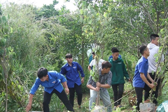 Nâng cao năng lực ứng phó biến đổi khí hậu