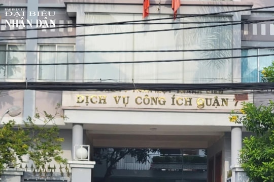 TP. Hồ Chí Minh: Công ty Dịch vụ công ích Quận 7 bị buộc nộp lại ngân sách hơn 5,8 tỷ đồng do cho thuê đất không đúng quy định
