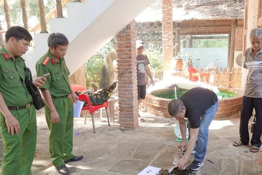 Bình Thuận: Thả 4 cá thể rùa biển quý hiếm về tự nhiên