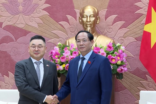 Hợp tác quốc phòng giữa Việt Nam và Hàn Quốc không ngừng được quan tâm, thúc đẩy và đạt nhiều kết quả tốt đẹp 