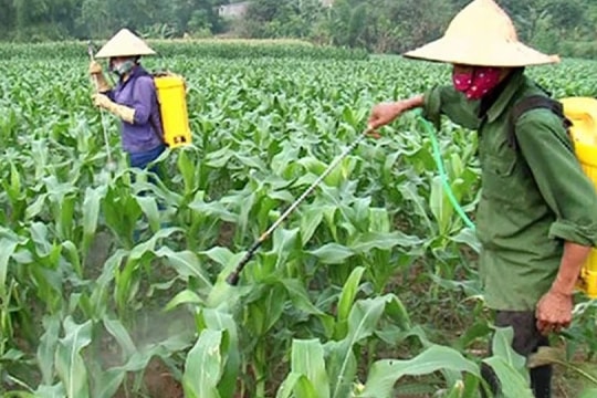 Báo động về kháng thuốc trong môi trường