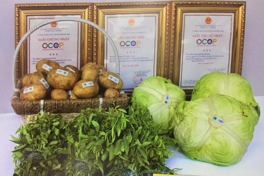 Huyện Thạch Thất nâng tầm giá trị sản phẩm OCOP