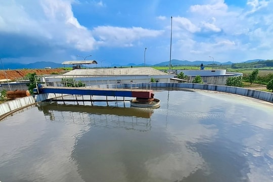 21 ngày 'hồi sinh' từng giọt nước thải ở trang trại bò sữa TH