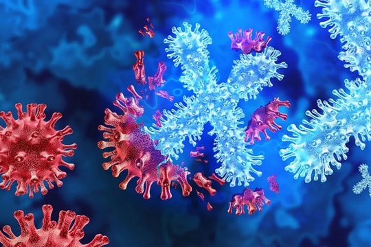 Xác định được bệnh lạ ở Cộng hòa Dân chủ Congo