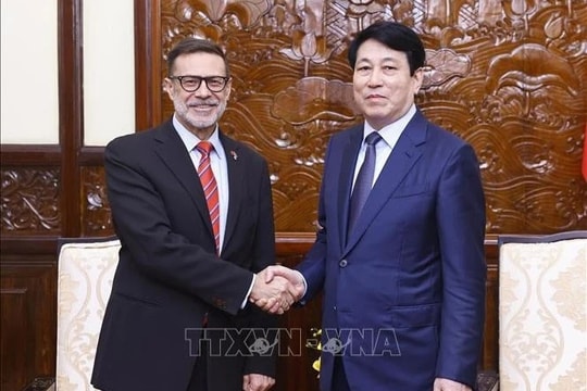 Chủ tịch nước Lương Cường tiếp Đại sứ Australia đến chào từ biệt