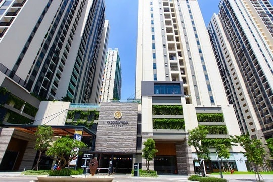 Công ty chuyên đấu thầu xây dựng do Tập đoàn Hà Đô sáng lập bị truy thu và phạt về thuế hàng tỷ đồng 