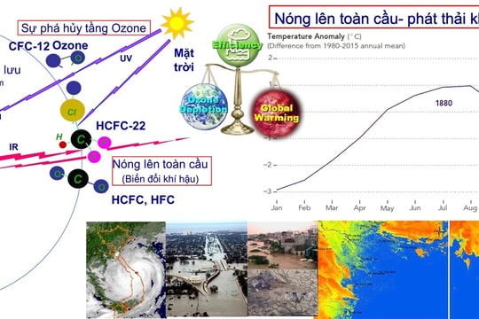 Việt Nam nỗ lực ứng phó với biến đổi khí hậu và bảo vệ tầng ozone
