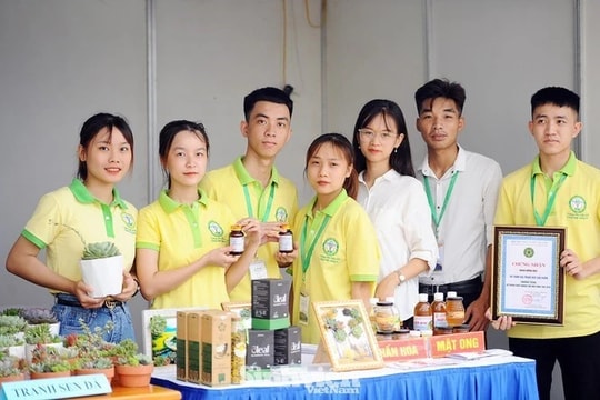 Trung bình mỗi năm có hơn 5.600 dự án khởi nghiệp của học sinh, sinh viên