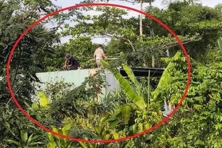 TP. Hồ Chí Minh: Nhiều công trình xây dựng trên đất nông nghiệp, đất toà án đang thụ lý giải quyết tranh chấp