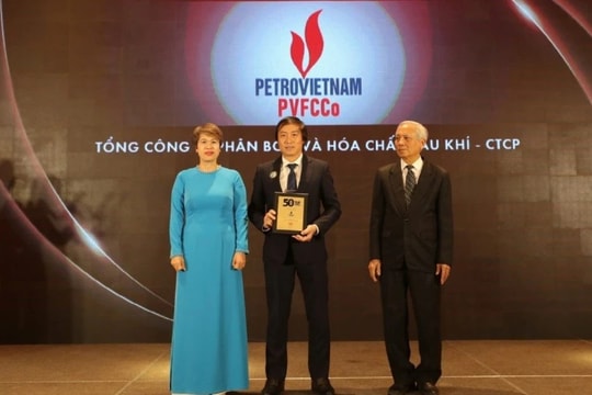 Động lực mới của PVFCCo