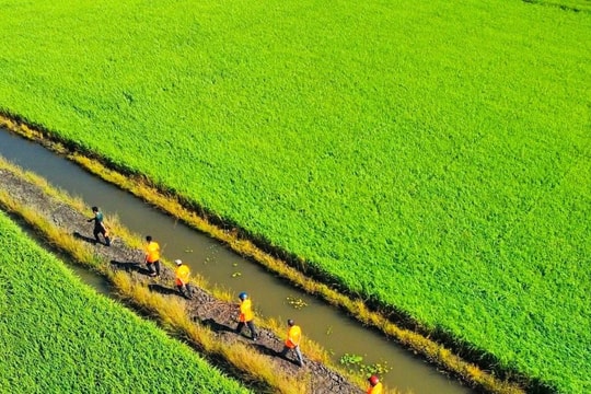 Nông nghiệp xanh, định hướng phát triển bền vững