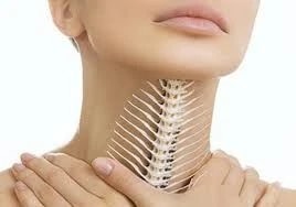 Bác sĩ cảnh báo, cẩn trọng với hóc xương trong dịp lễ Tết