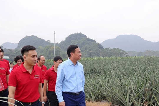 Tiếp sức cho doanh nghiệp Việt vươn ra thị trường quốc tế