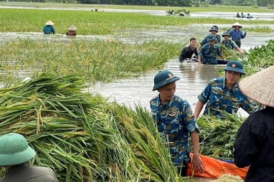 Mở rộng bảo hiểm nông nghiệp để giảm bớt gánh nặng khi gặp thiên tai