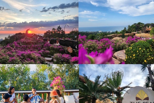 The Peak Phú Quốc - Kiệt tác nghệ thuật giữa lòng "đảo ngọc" 