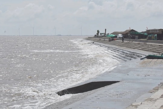 Bến Tre tìm giải pháp ứng phó nước biển dâng