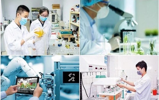 Tạo bước ngoặt trong hành trình vươn mình của nền kinh tế