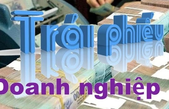 Doanh nghiệp mất khả năng thanh toán tiền giao dịch trái phiếu riêng lẻ thì xử lý như thế nào?