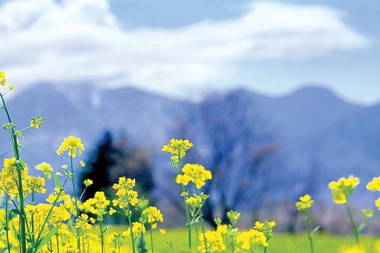 Hỏi - Đáp chính sách, pháp luật