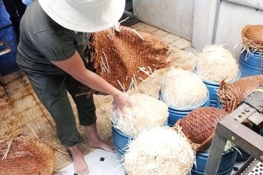 UBND tỉnh Đắk Lắk chỉ đạo xử lý nghiêm vụ giá đỗ ngâm chất cấm