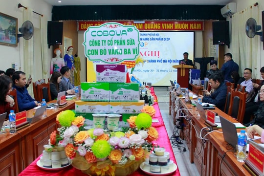 Hà Nội đánh giá, phân hạng sản phẩm OCOP năm 2024